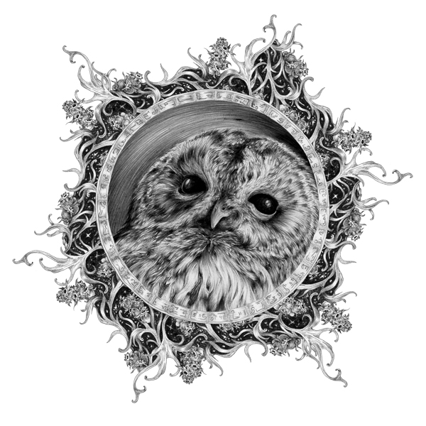 Médaillon Bébé chouette (2025)